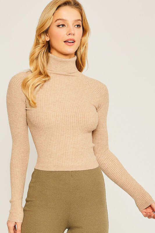 Classic Turtleneck Ribbed Knit Sweater Top