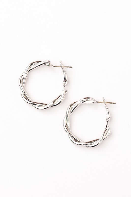 Elegant 18K Stainless Steel Twisted Hoop Earrings, Earrings, $ 18.00, A Moment Of Now™