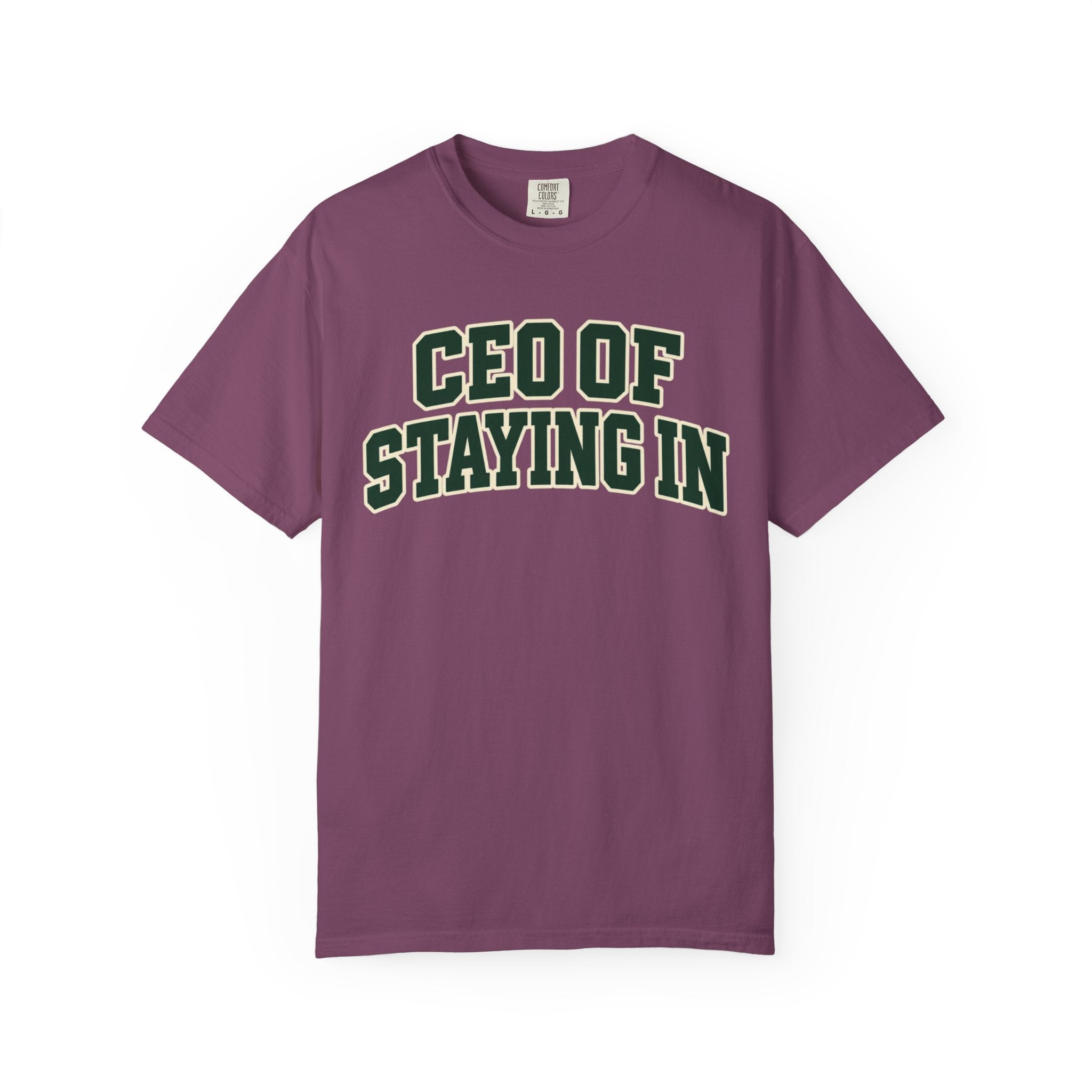 CEO of Staying In funny homebody T-shirt product image 15