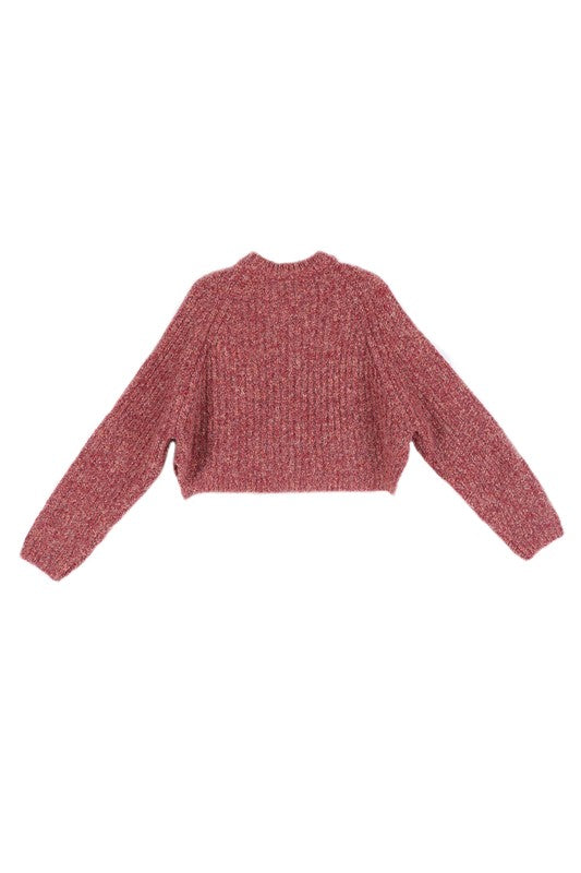 Melange Cropped Sweater Top