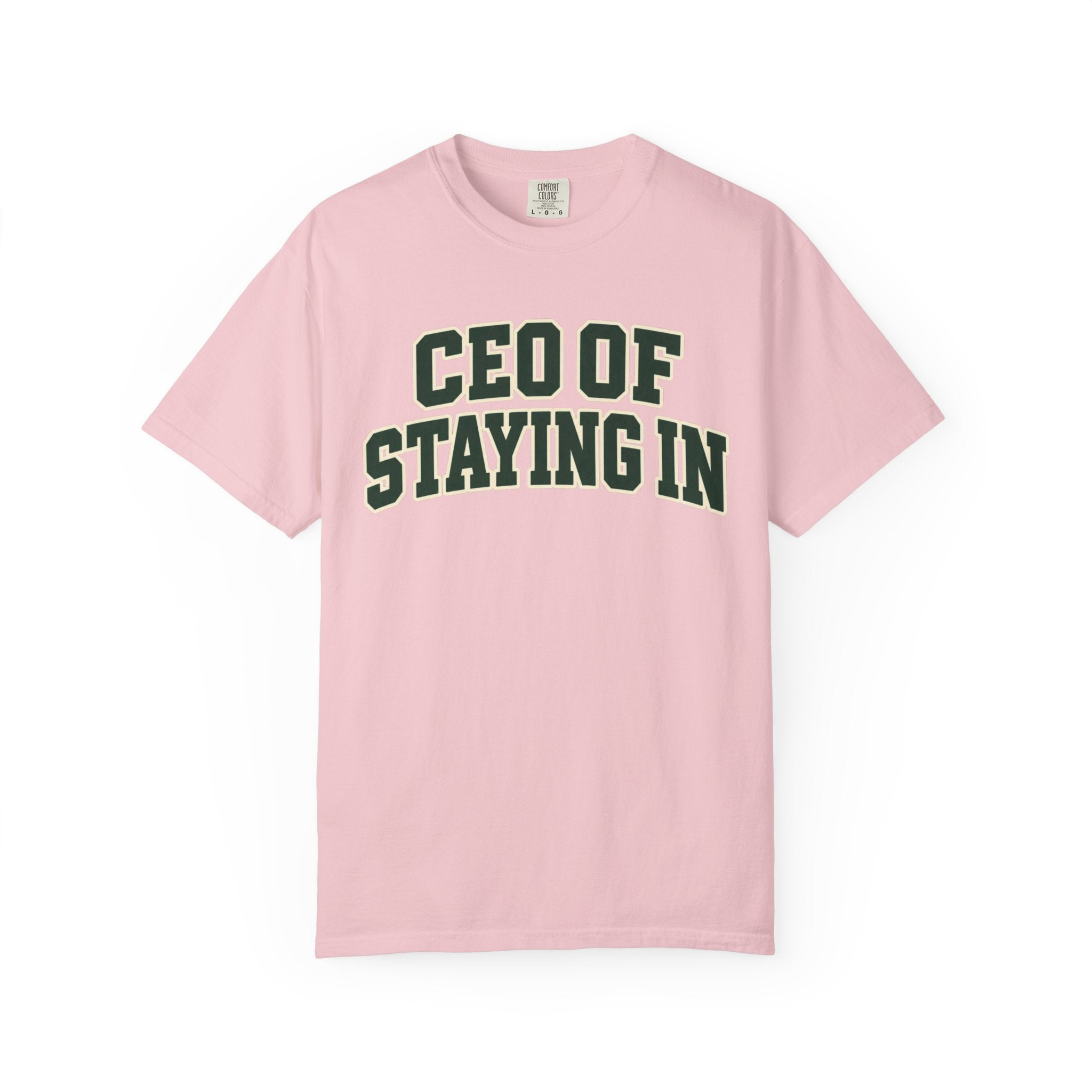 CEO of Staying In funny homebody T-shirt product image 14