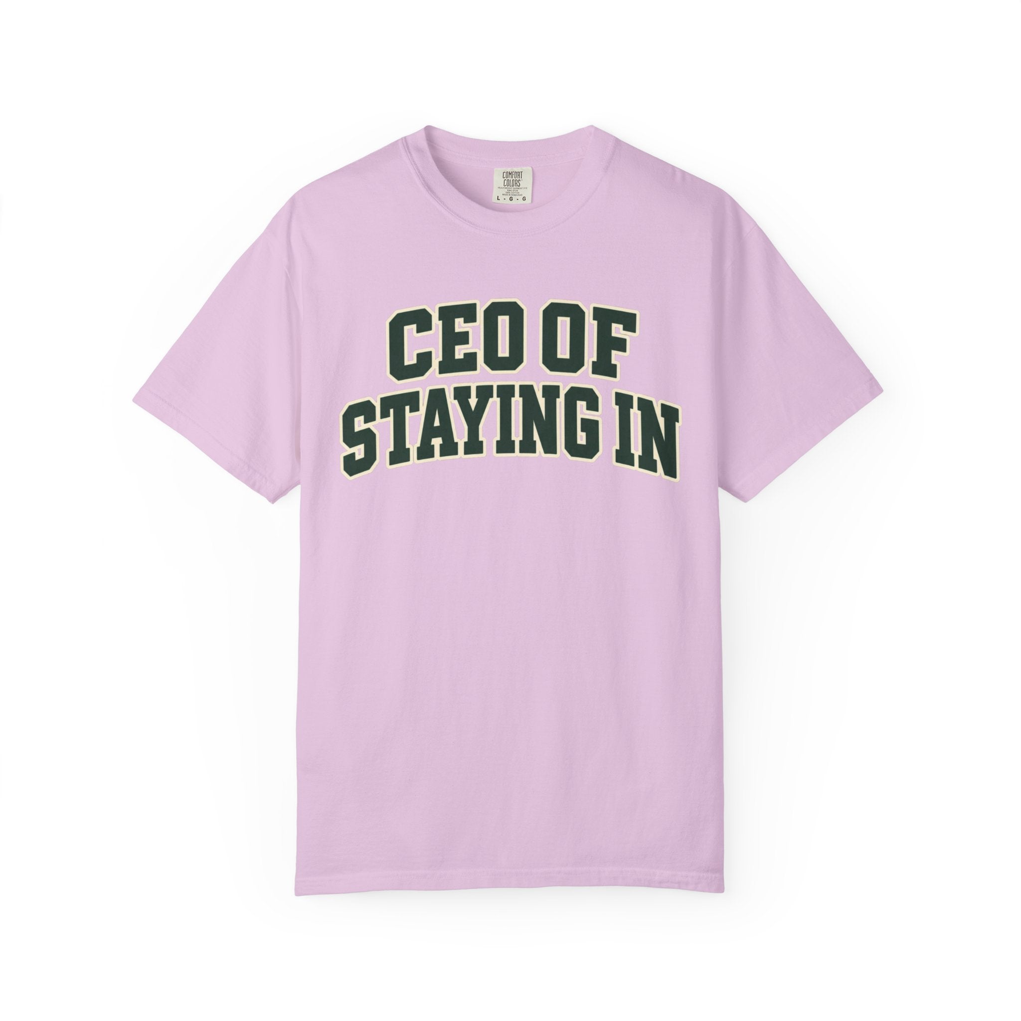 CEO of Staying In funny homebody T-shirt product image 13