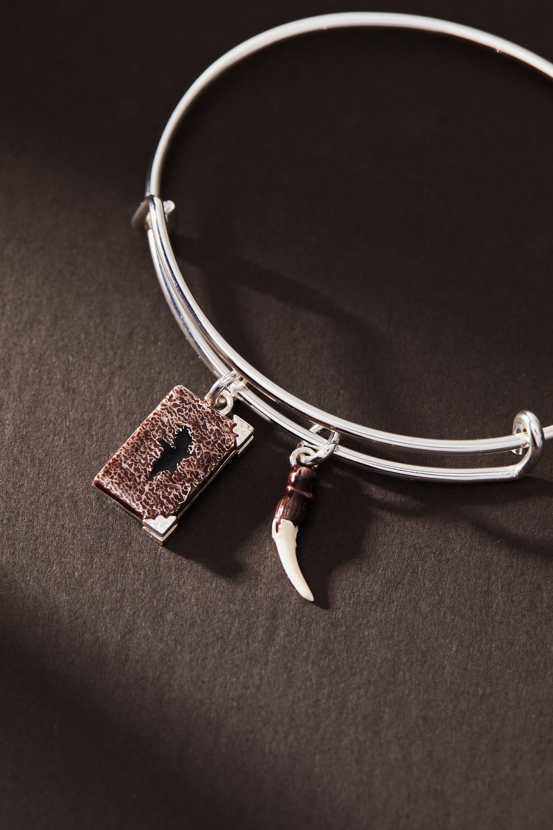 Harry Potter™ Diary and Basilisk Fang Bangle, Bracelets, $ 13.90, A Moment Of Now™