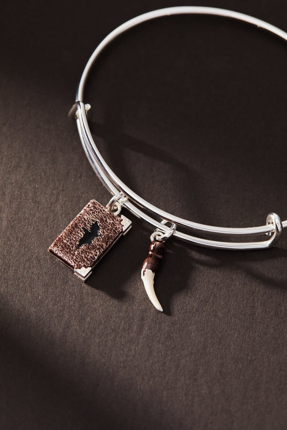 Harry Potter™ Diary and Basilisk Fang Bangle, Bracelets, $ 13.90, A Moment Of Now™