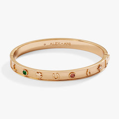 Lucky Hinge Bangle, Bracelets, $ 38.00, A Moment Of Now™
