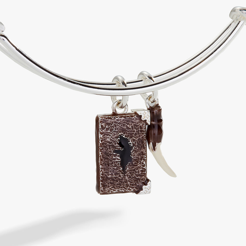 Harry Potter™ Diary and Basilisk Fang Bangle, Bracelets, $ 13.90, A Moment Of Now™