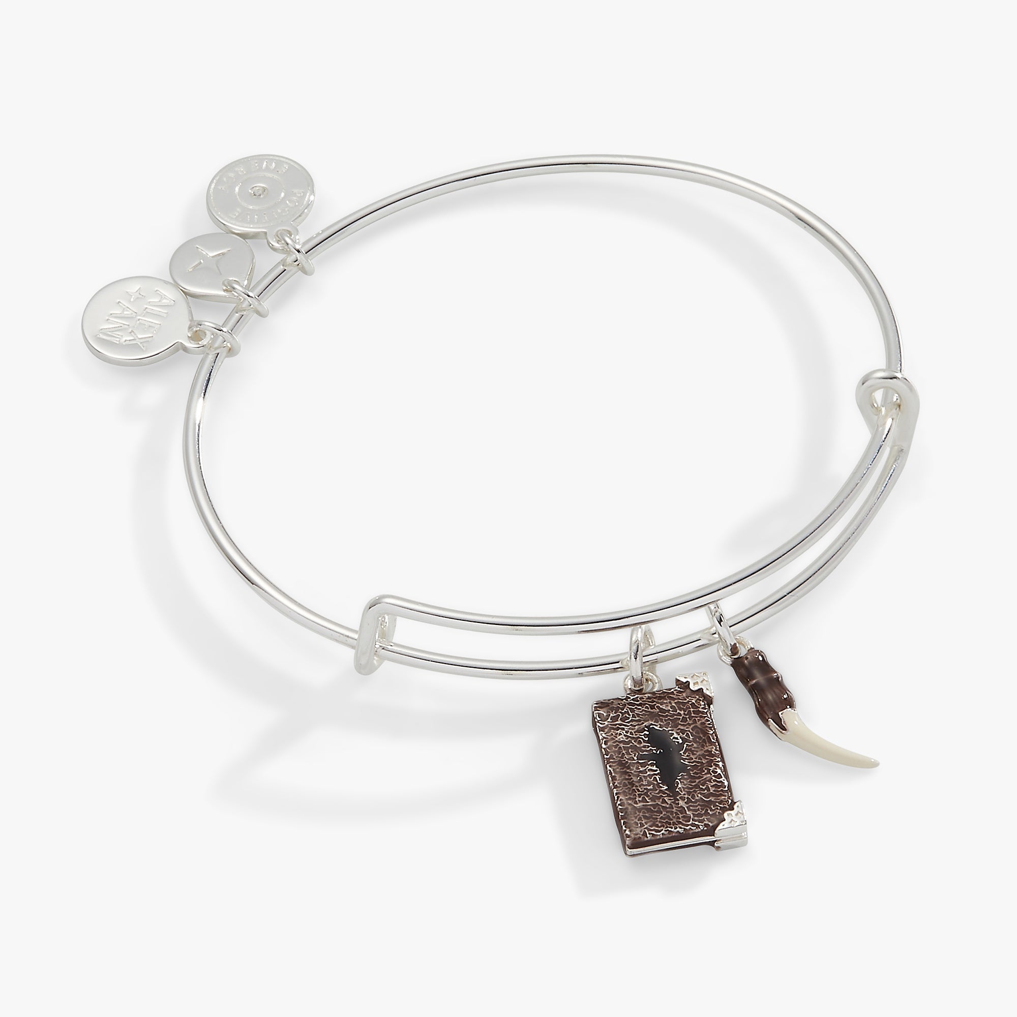 Harry Potter™ Diary and Basilisk Fang Bangle, Bracelets, $ 13.90, A Moment Of Now™