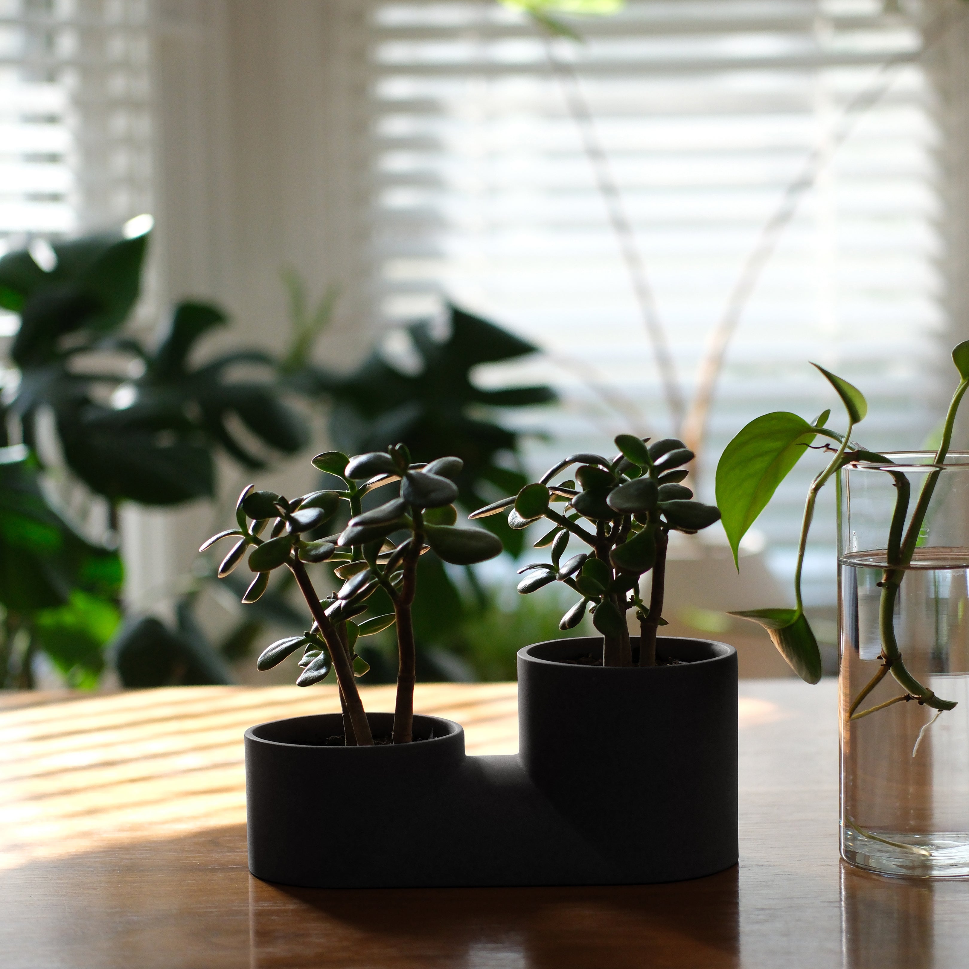 Handmade Ceramic Double Planter - Unique Indoor Plant Pot