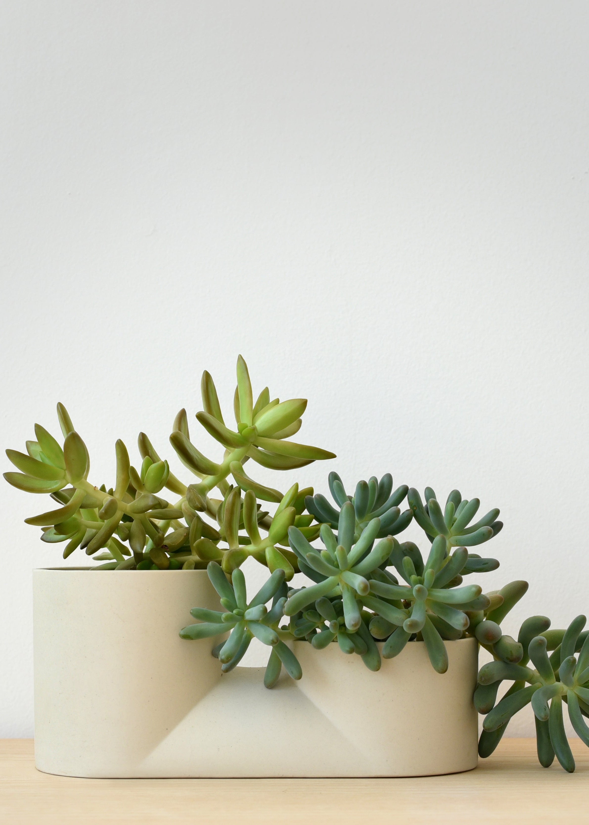 Handmade Ceramic Double Planter - Unique Indoor Plant Pot
