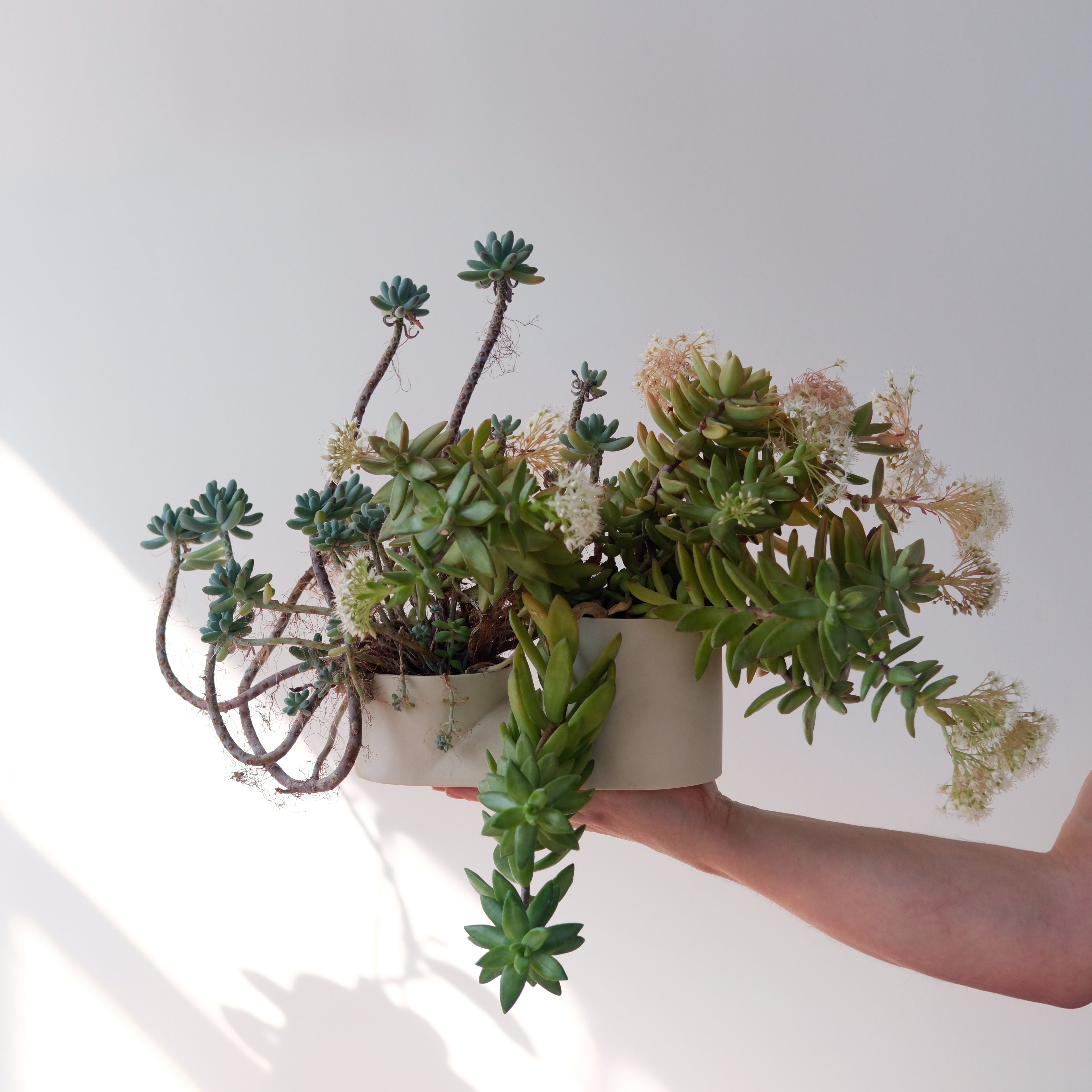 Handmade Ceramic Double Planter - Unique Indoor Plant Pot