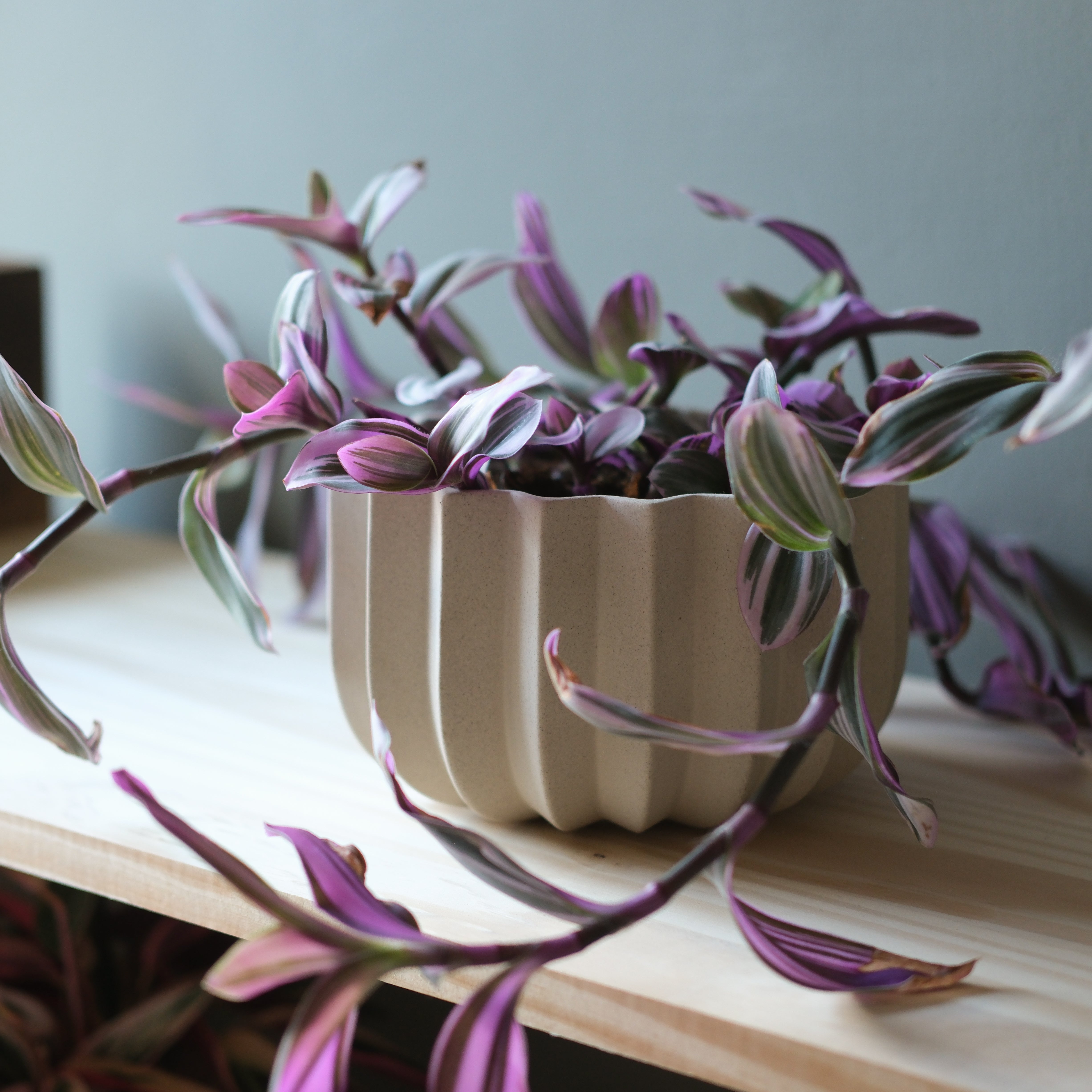 Wrap Handmade Ceramic Planter with Drainage - 4 Sizes in Dune & Black