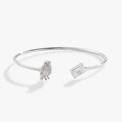 Harry Potter™ Hedwig + Letter Flex Cuff, Bracelets, $ 34.00, A Moment Of Now™