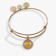 Harry Potter™ Hufflepuff House Charm Bangle, Bracelets, $ 28.00, A Moment Of Now™