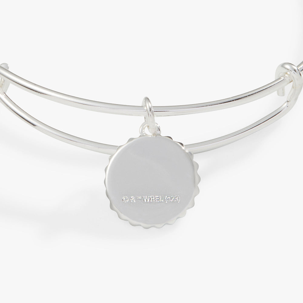 Harry Potter™ Ravenclaw House Charm Bangle, Bracelets, $ 28.00, A Moment Of Now™