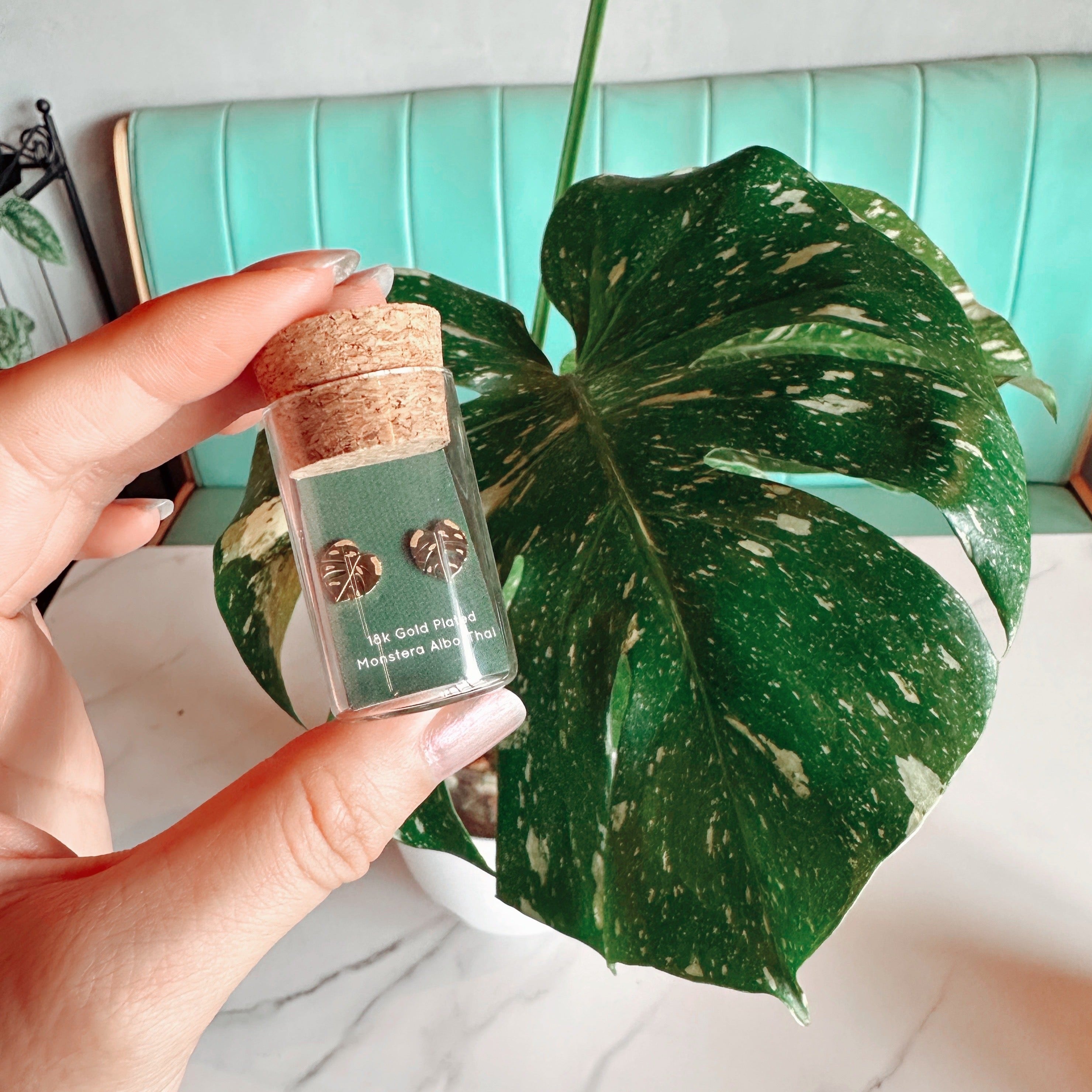 Monstera Albo/Thai Metal Stud Earrings - Hypoallergenic Plant Studs