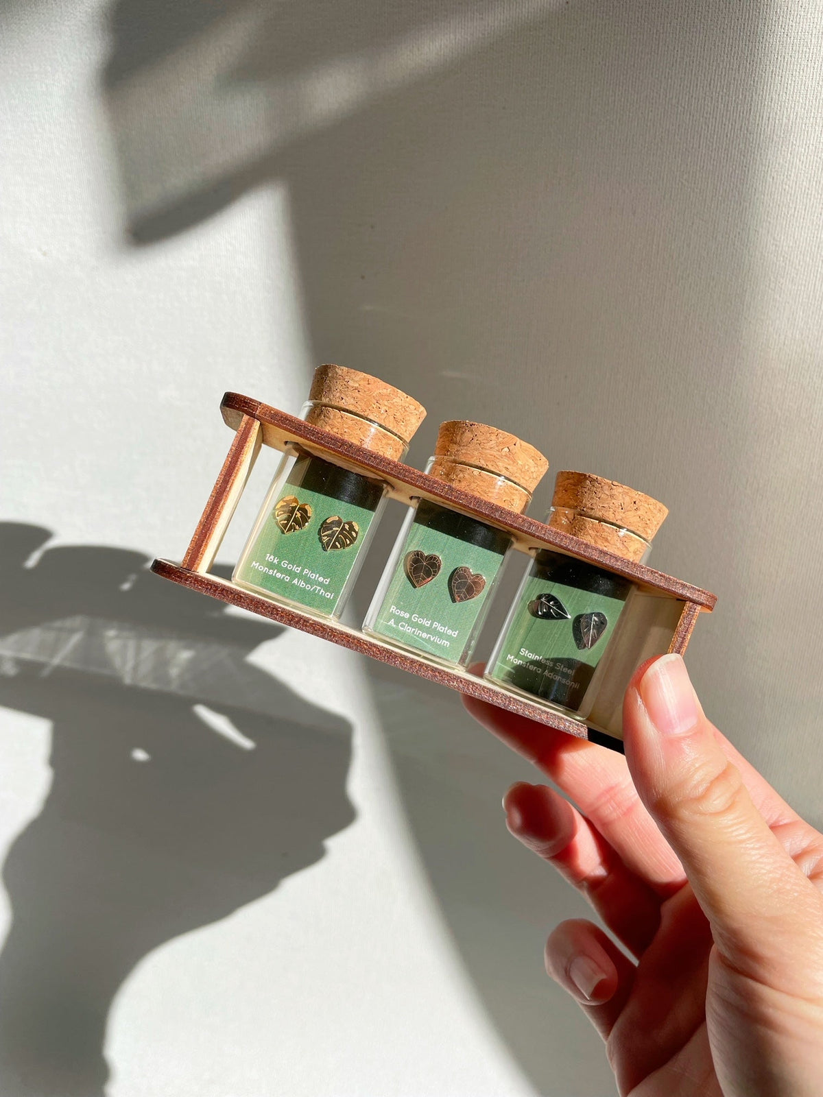 Custom Etched Propagation Stand + 3 Set Houseplant Earring Studs