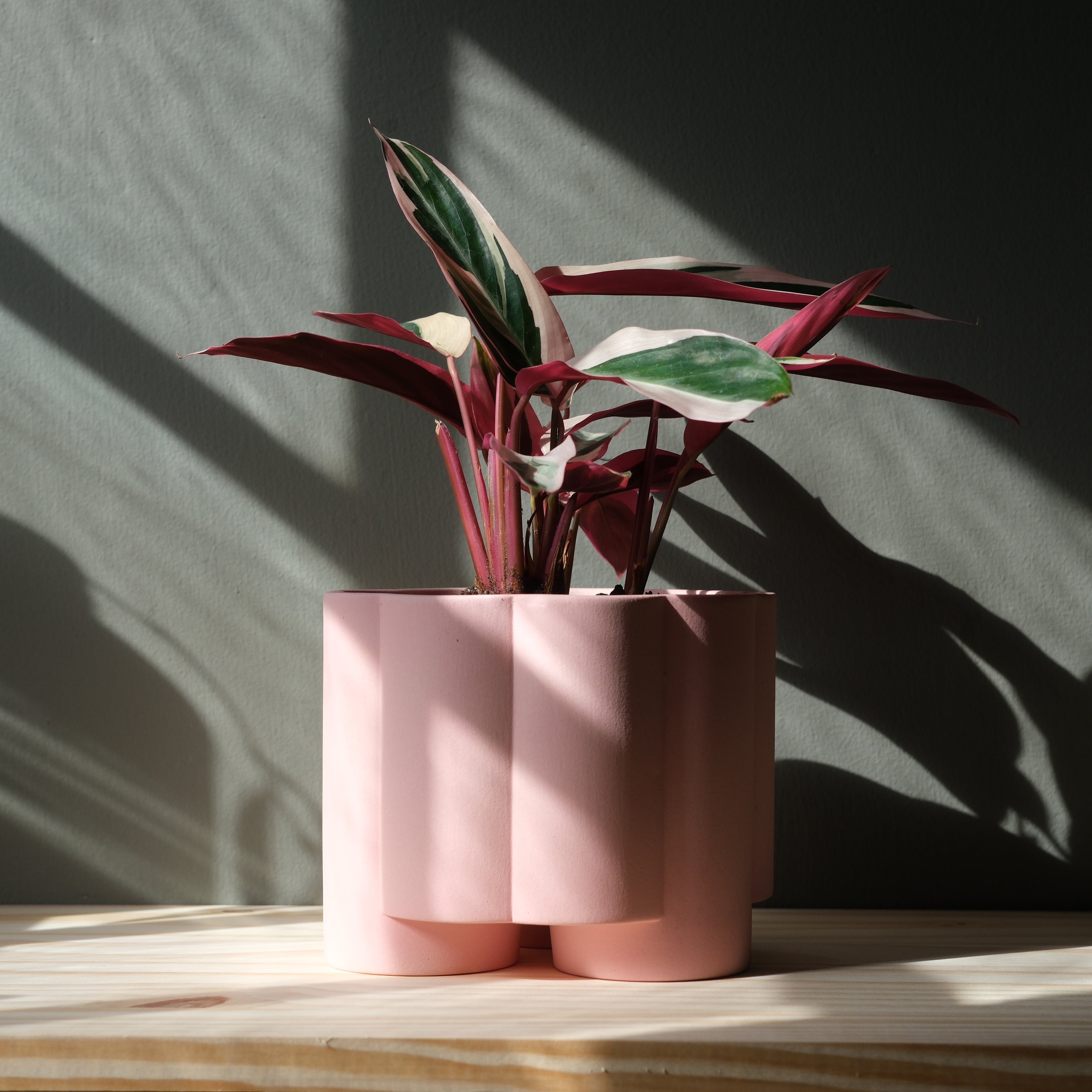 Pillar Handmade Ceramic Fluted Planter with Legs & Drainage - 5 Colors