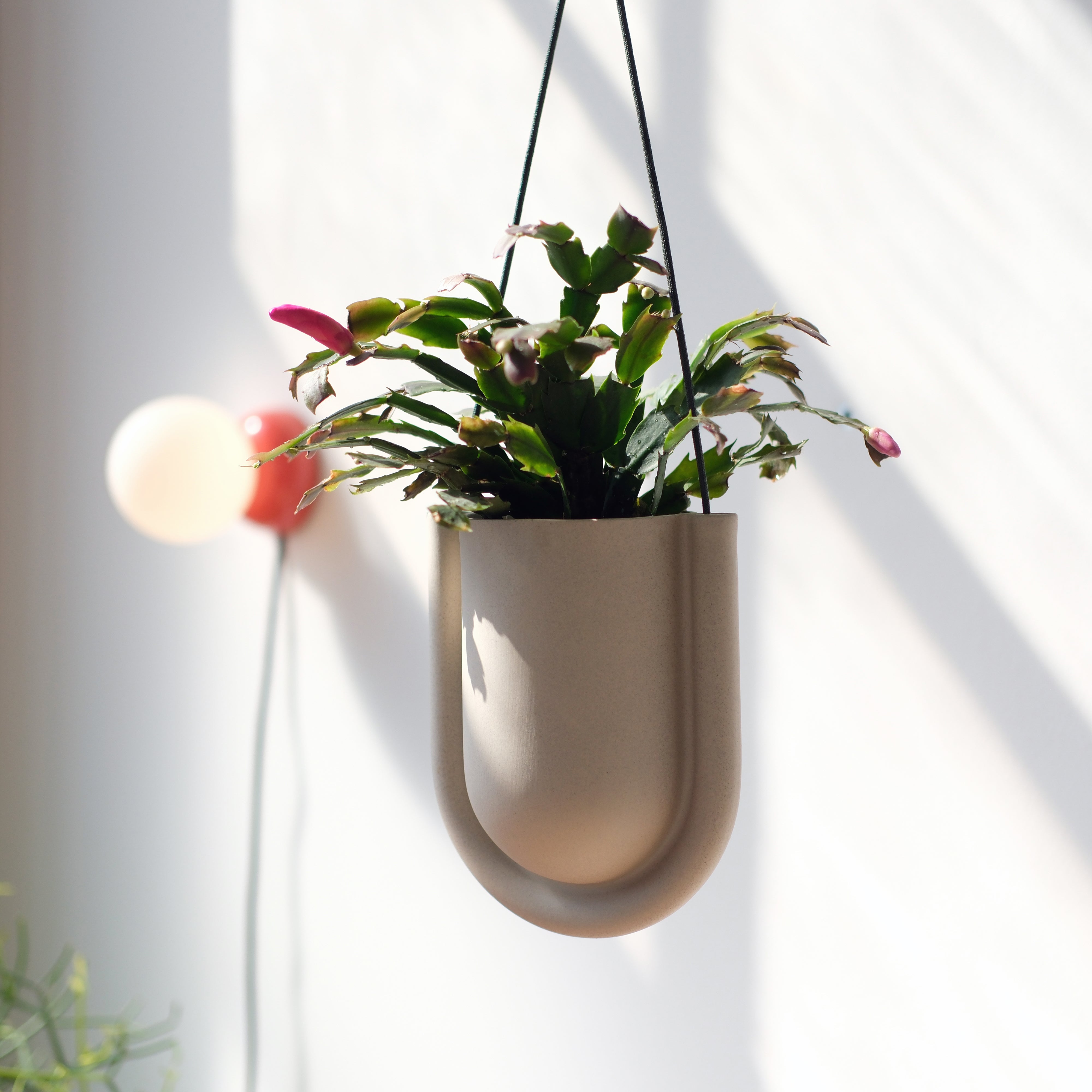 Portico Handmade Ceramic Hanging Planter with Drainage - 8 Colors