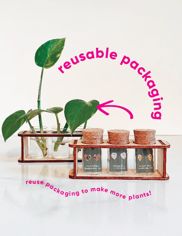 Custom Etched Propagation Stand + 3 Set Houseplant Earring Studs