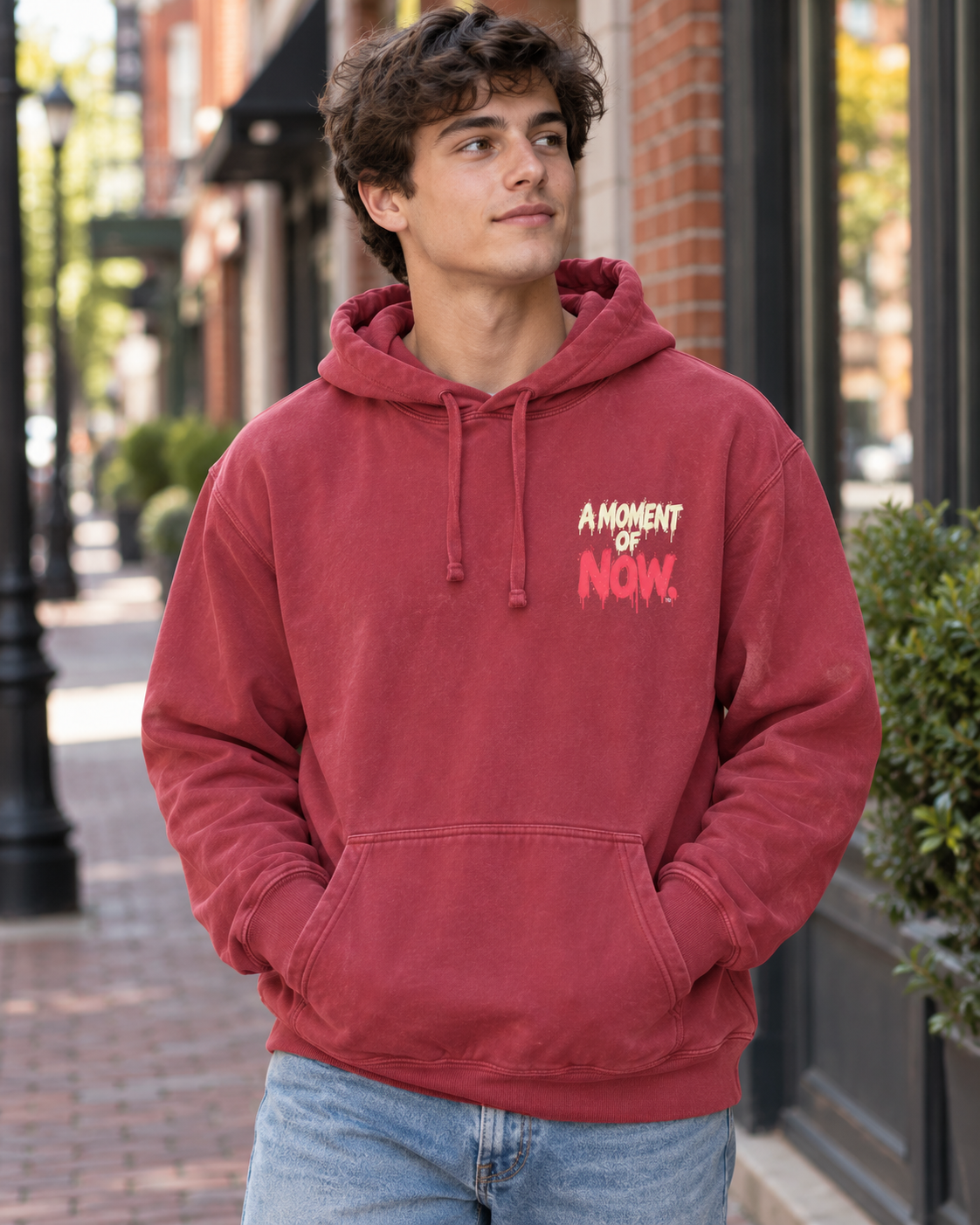 A Stolen Moment Hoodie — Garment-Dyed Graphic Pullover