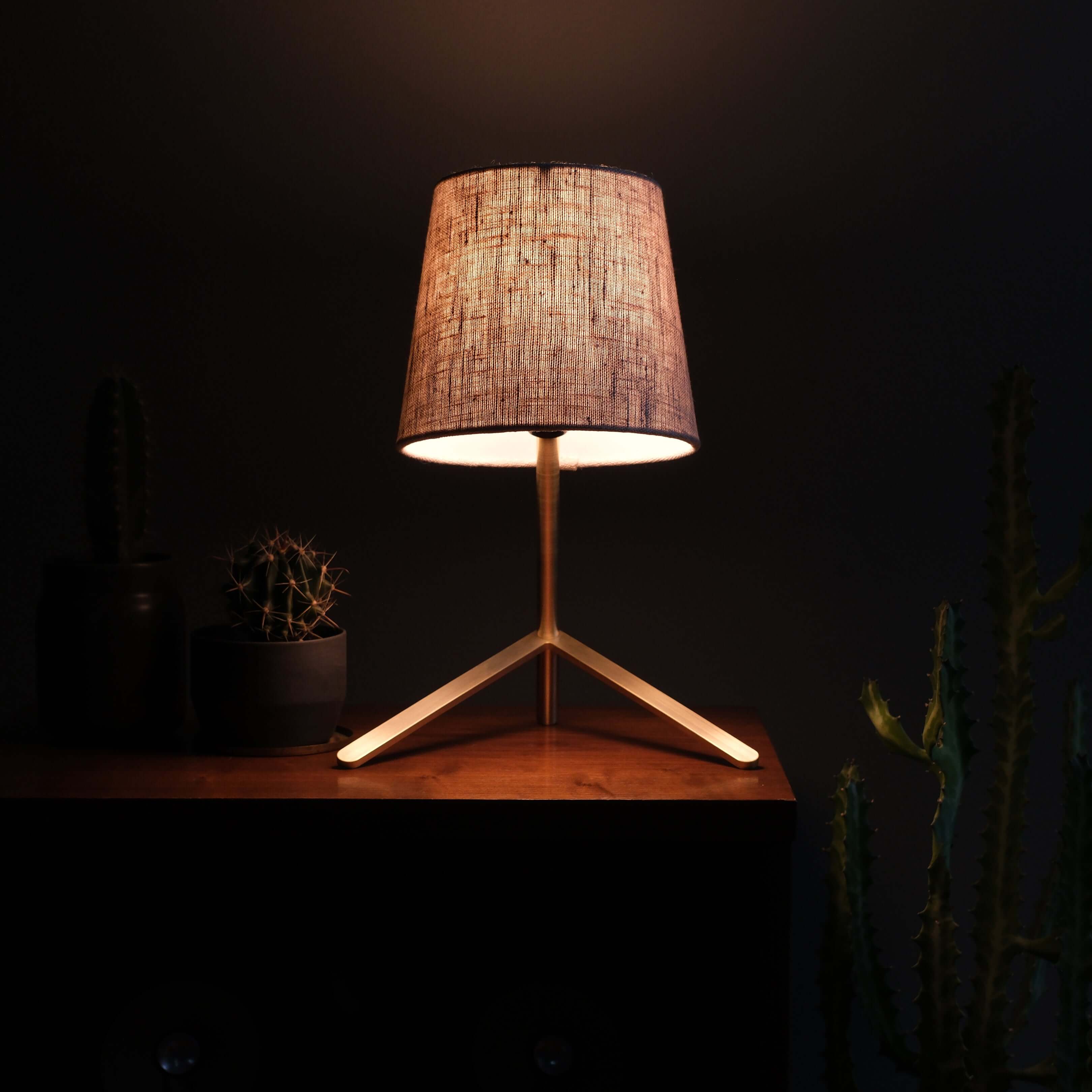 Tokyo I Desk Lamp