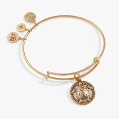 Turtle Charm Bangle, Bracelets, $ 24.90, A Moment Of Now™