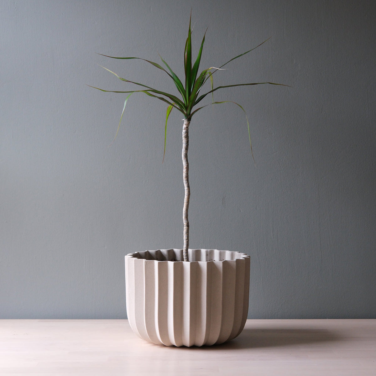 Wrap Handmade Ceramic Planter with Drainage - 4 Sizes in Dune & Black