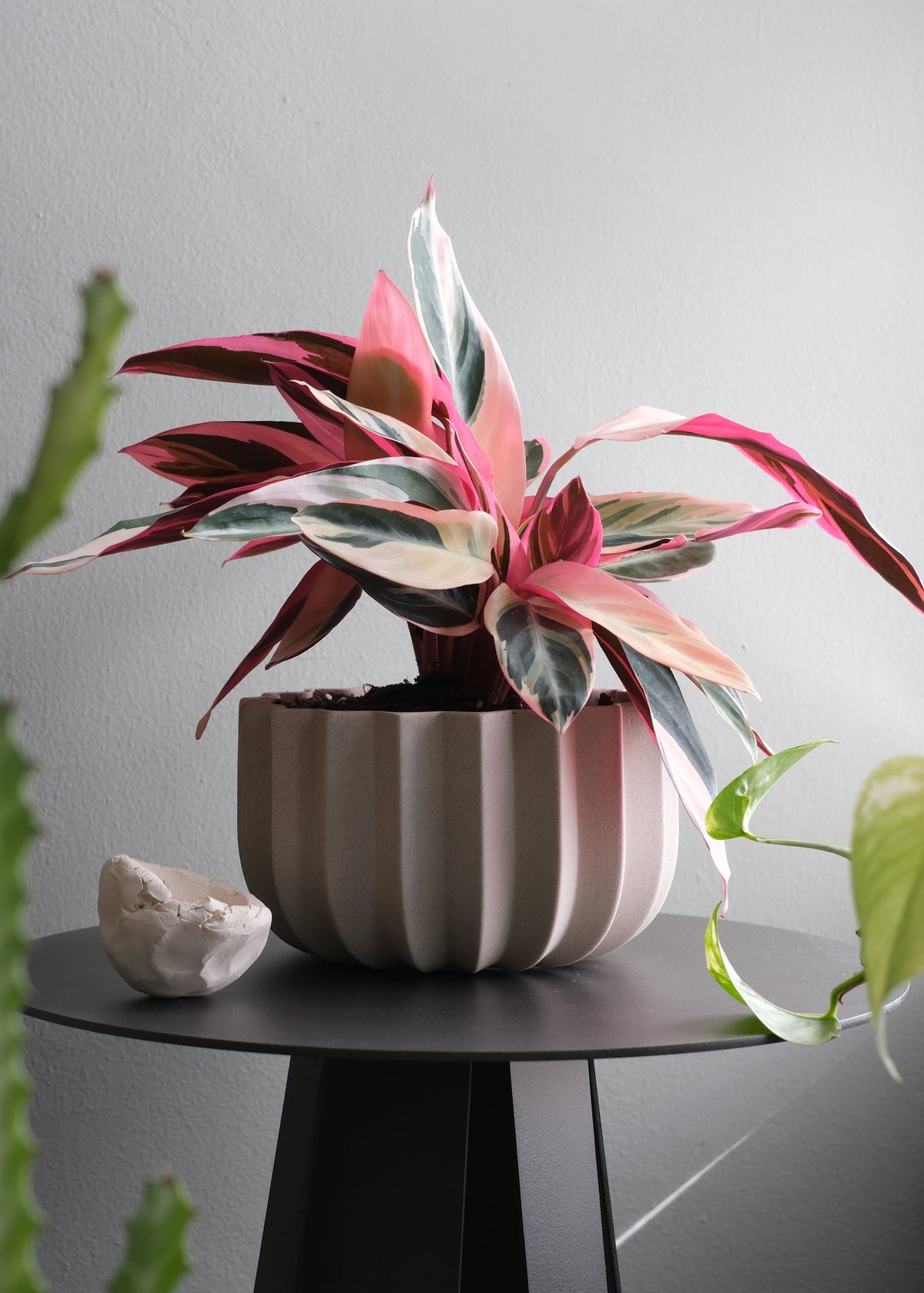 Wrap Handmade Ceramic Planter with Drainage - 4 Sizes in Dune & Black