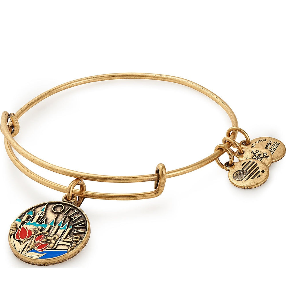 Ottawa Charm Bangle, Bracelets, $ 9.90, A Moment Of Now™