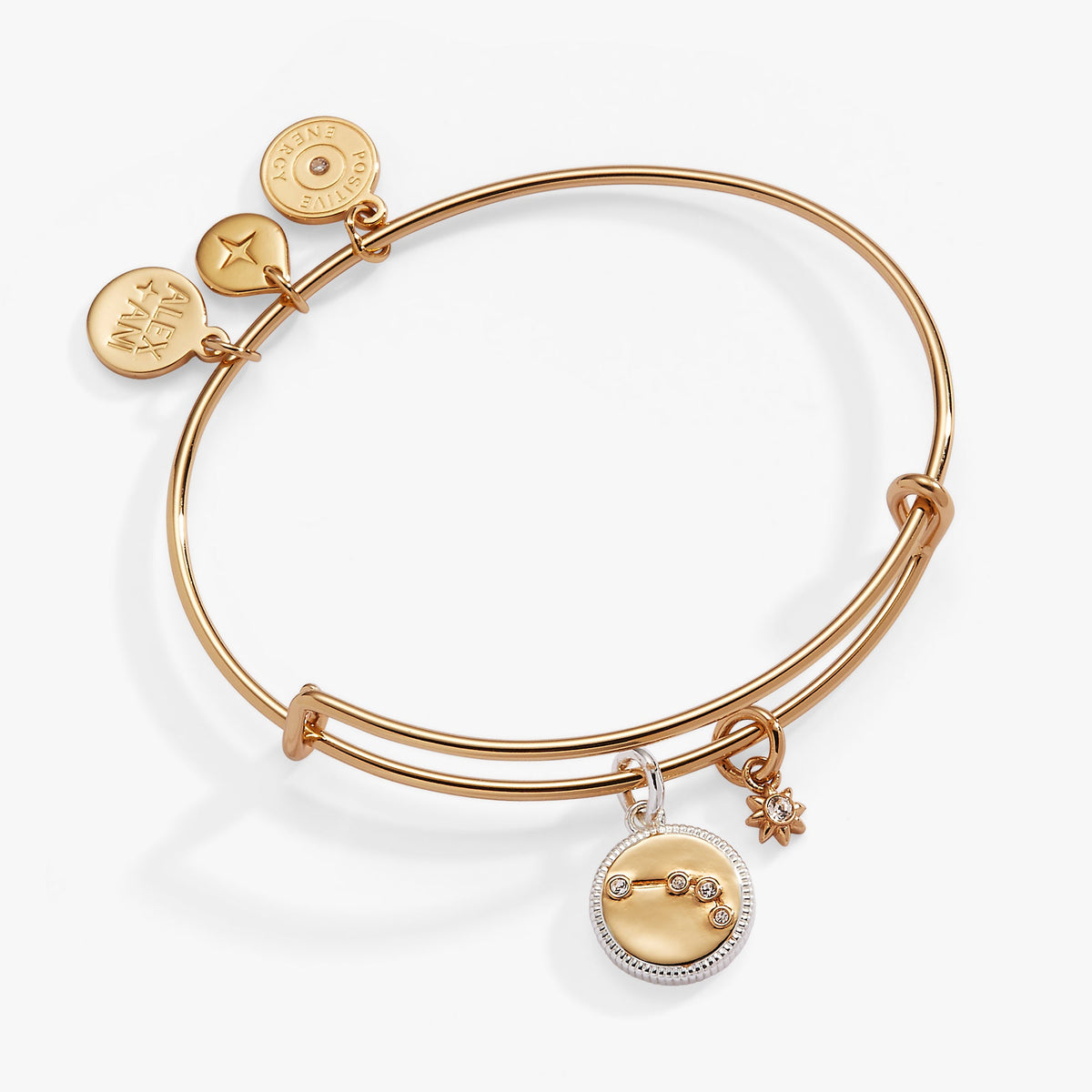 Aries Zodiac Charm Bangle, Bracelets, $ 34.00, A Moment Of Now™