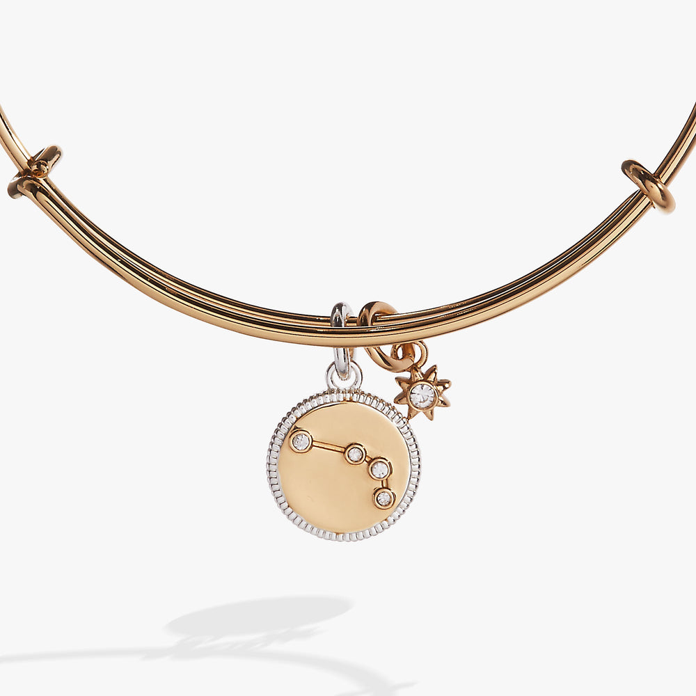 Aries Zodiac Charm Bangle, Bracelets, $ 34.00, A Moment Of Now™
