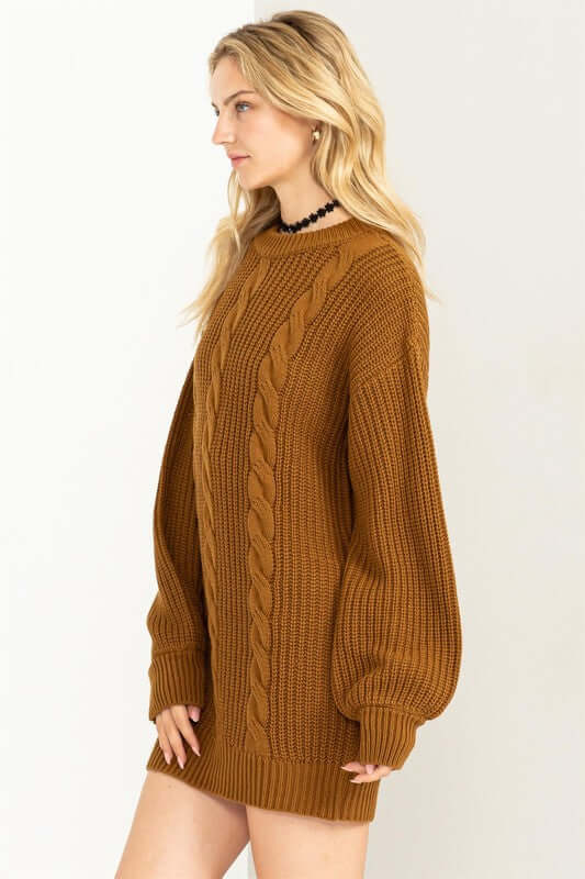 Brown / Black / Cream Cable-Knit Ribbed Mini Sweater Dress, HYFVE, $ 56.95