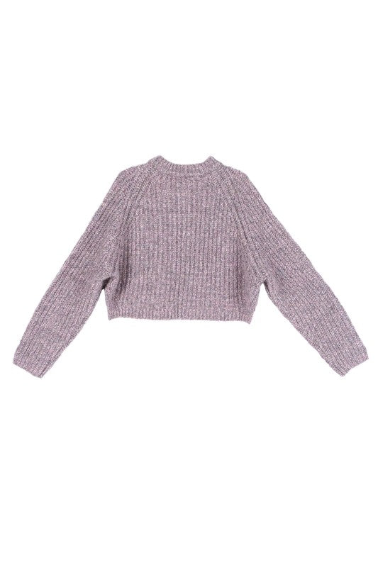 Melange Cropped Sweater Top