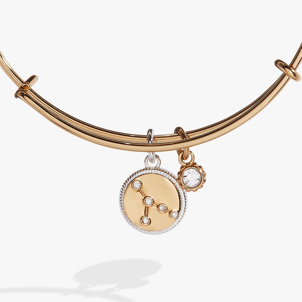 Cancer Zodiac Charm Bangle, Bracelets, $ 34.00, A Moment Of Now™