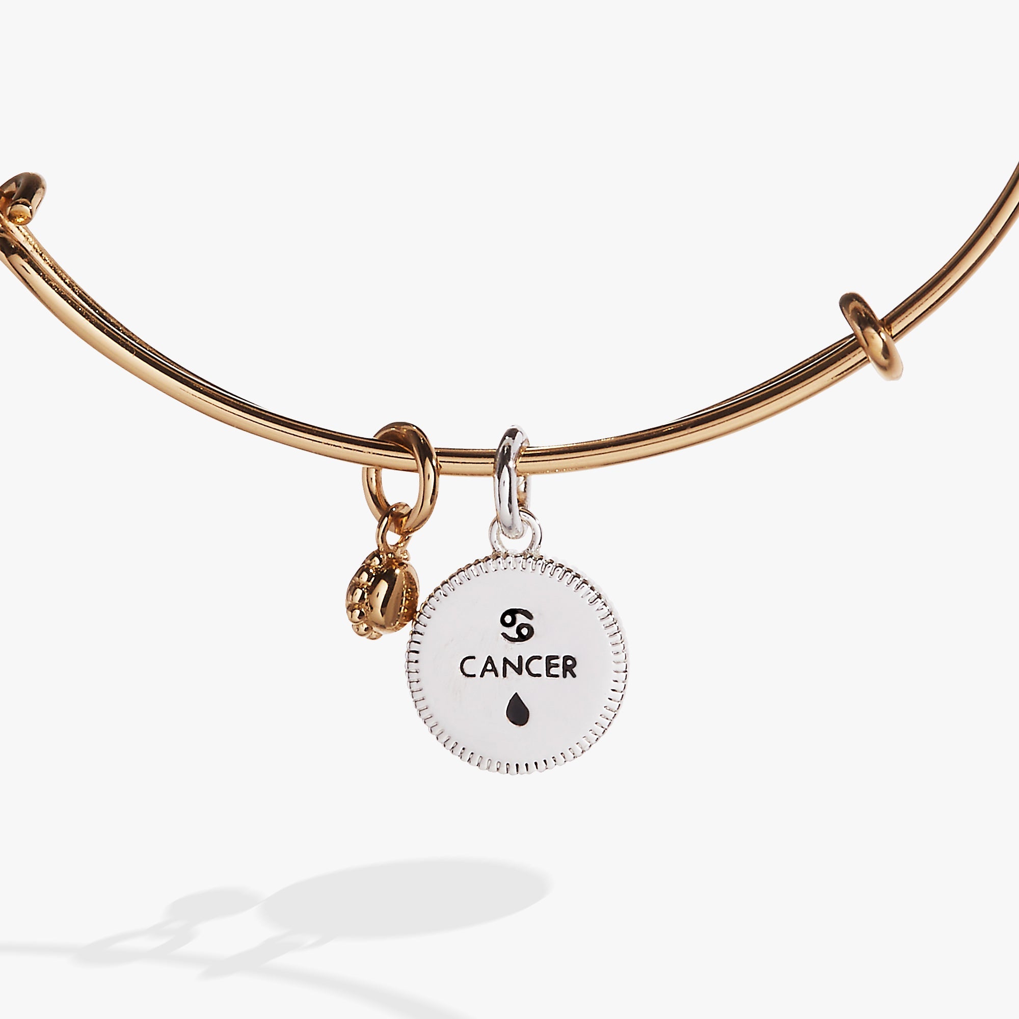 Cancer Zodiac Charm Bangle, Bracelets, $ 34.00, A Moment Of Now™