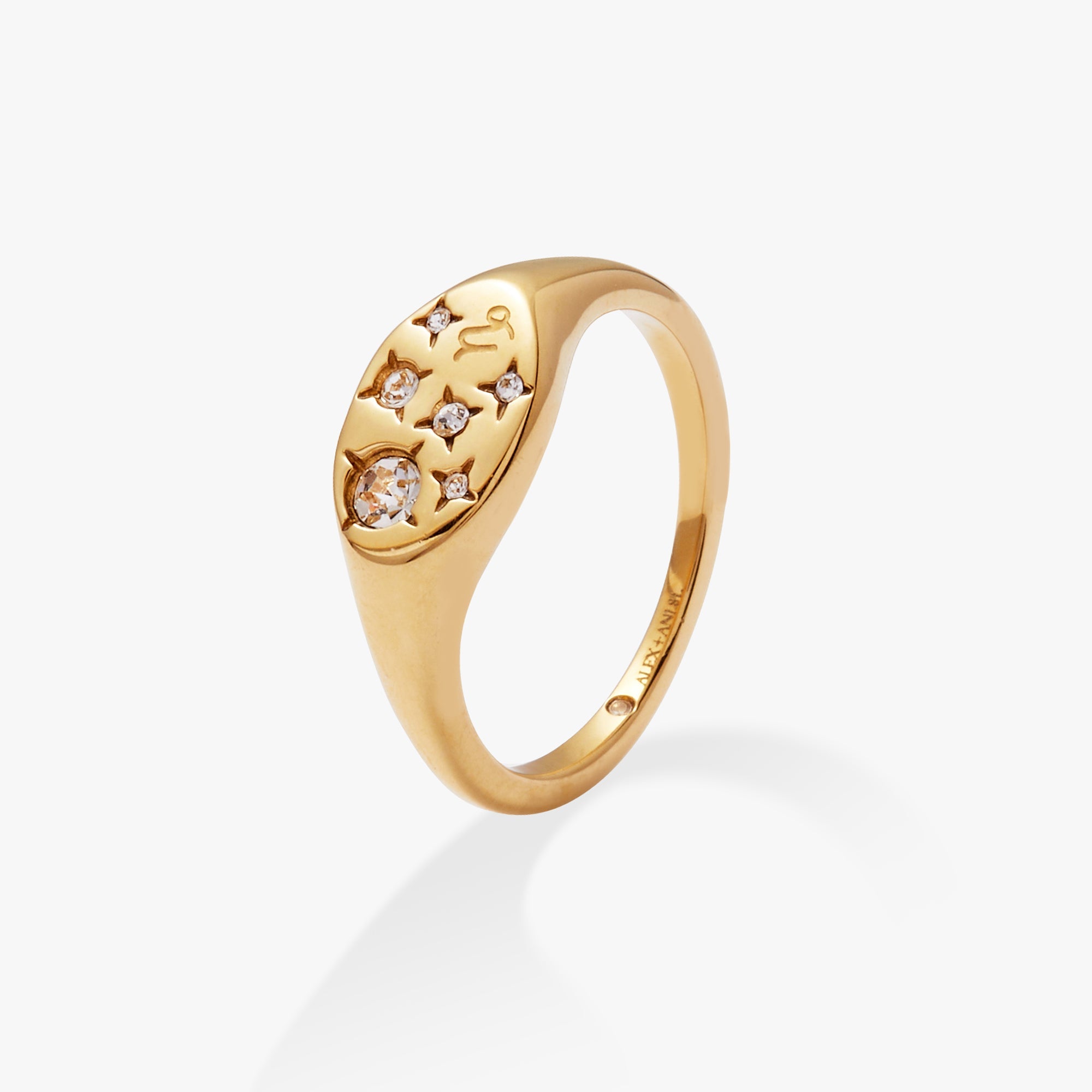 Capricorn Zodiac Ring, Rings, $ 34.00, A Moment Of Now™