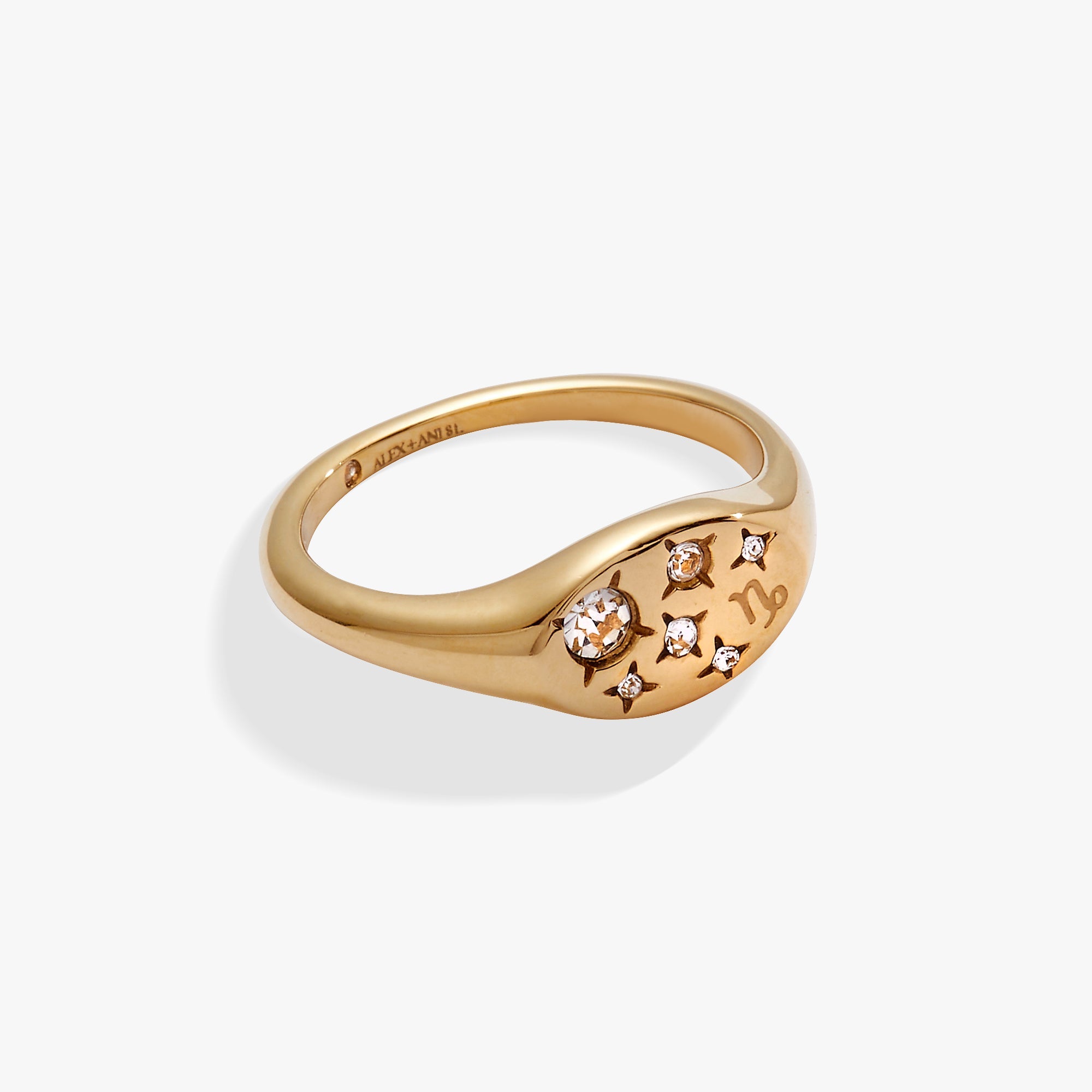 Capricorn Zodiac Ring, Rings, $ 34.00, A Moment Of Now™