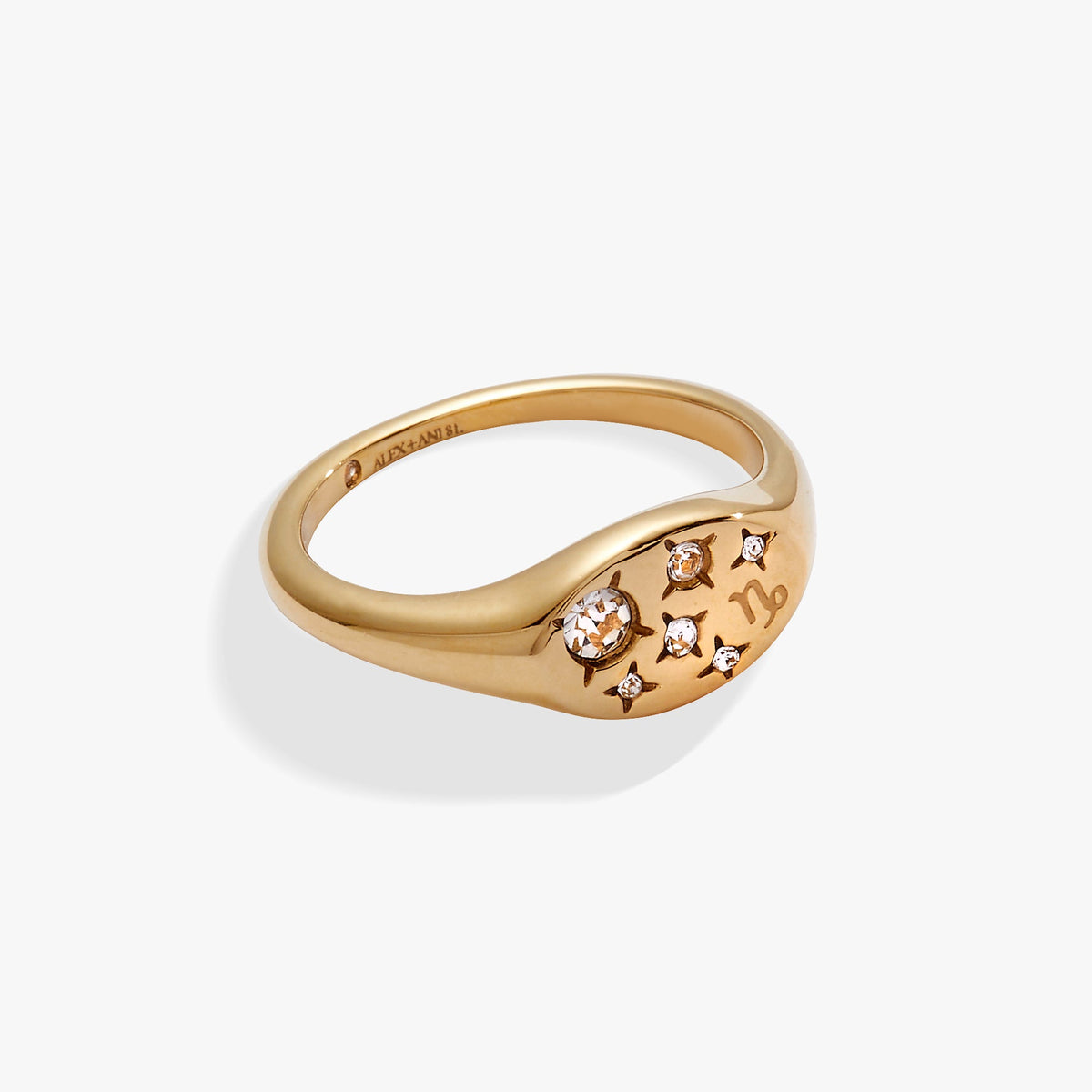 Capricorn Zodiac Ring, Rings, $ 34.00, A Moment Of Now™