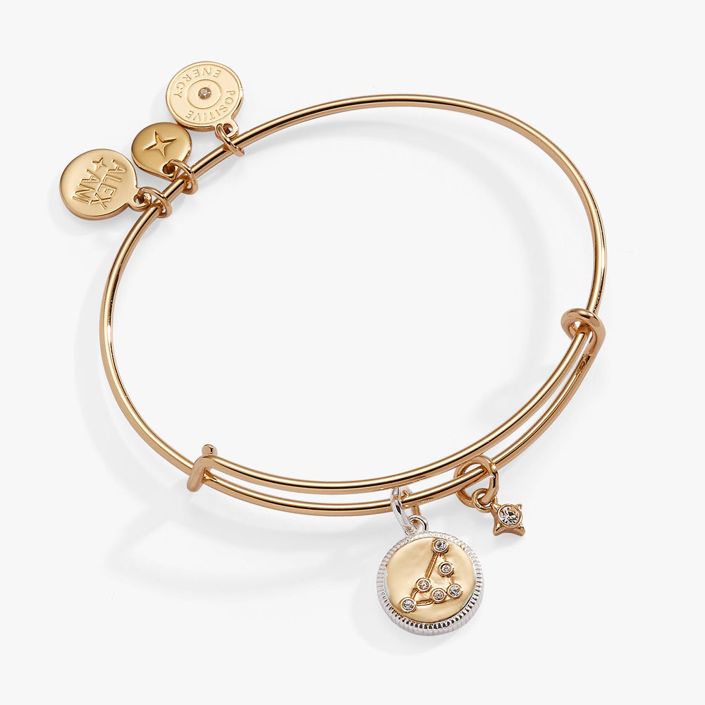 Capricorn Zodiac Charm Bangle, Bracelets, $ 34.00, A Moment Of Now™