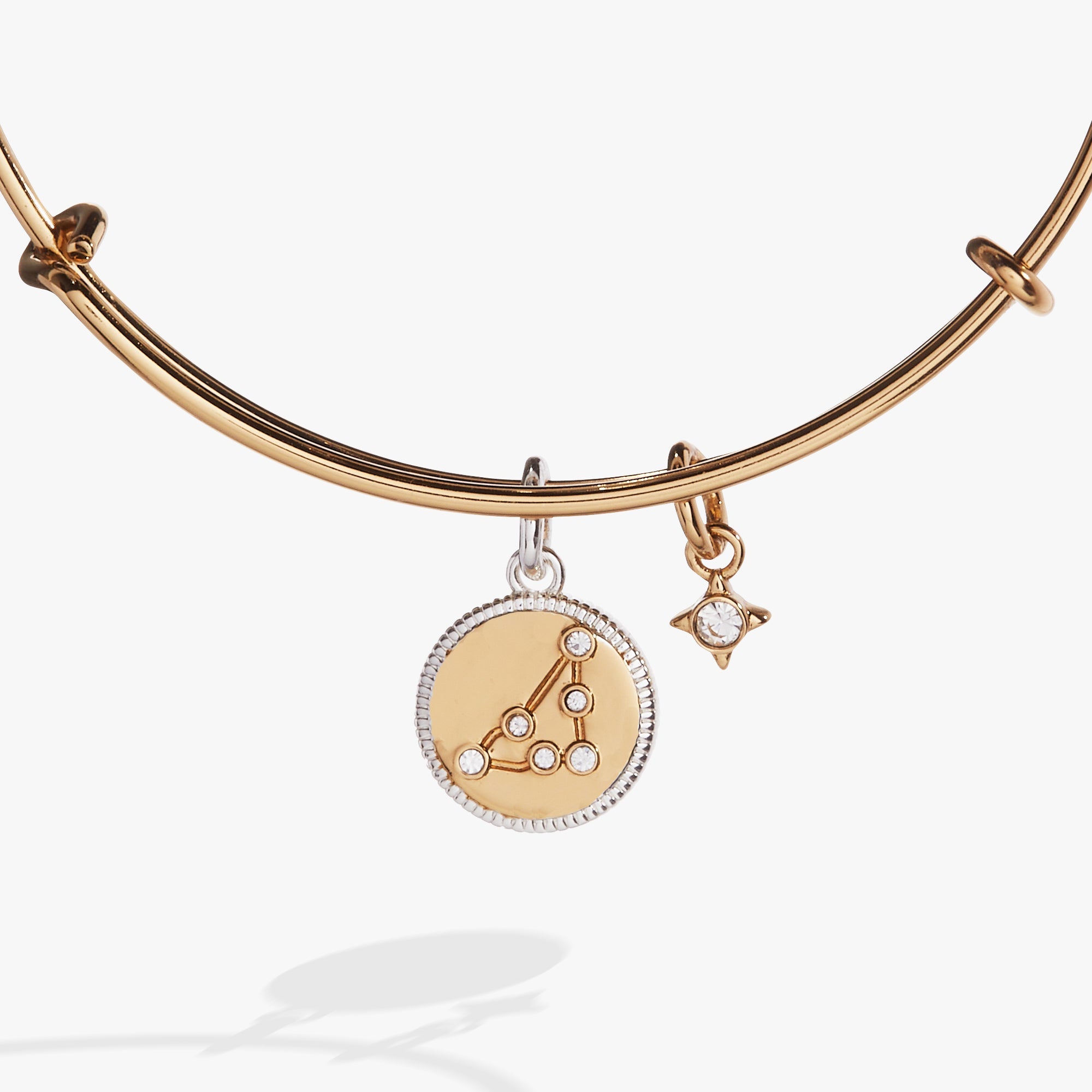 Capricorn Zodiac Charm Bangle, Bracelets, $ 34.00, A Moment Of Now™