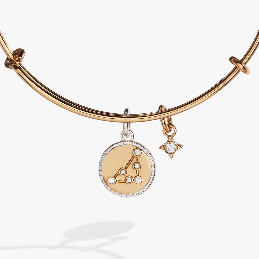 Capricorn Zodiac Charm Bangle, Bracelets, $ 34.00, A Moment Of Now™