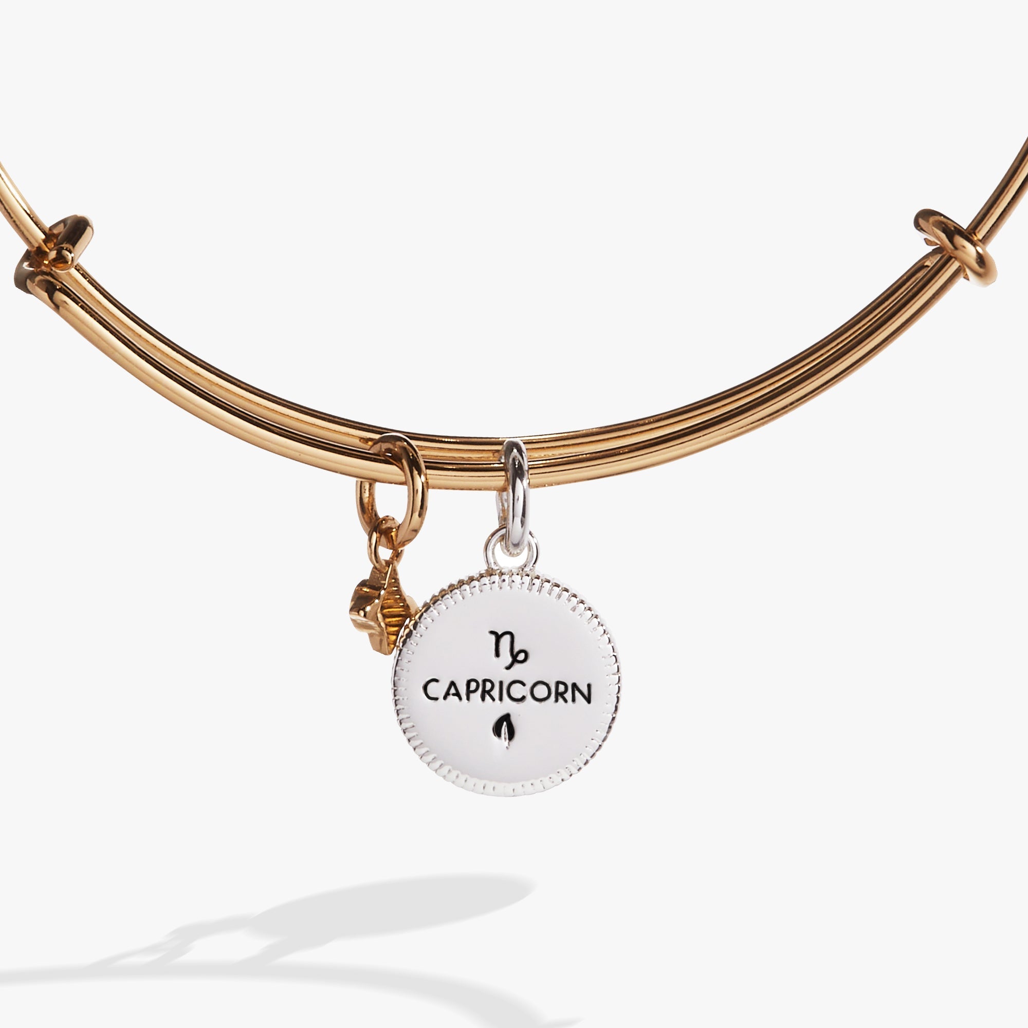 Capricorn Zodiac Charm Bangle, Bracelets, $ 34.00, A Moment Of Now™