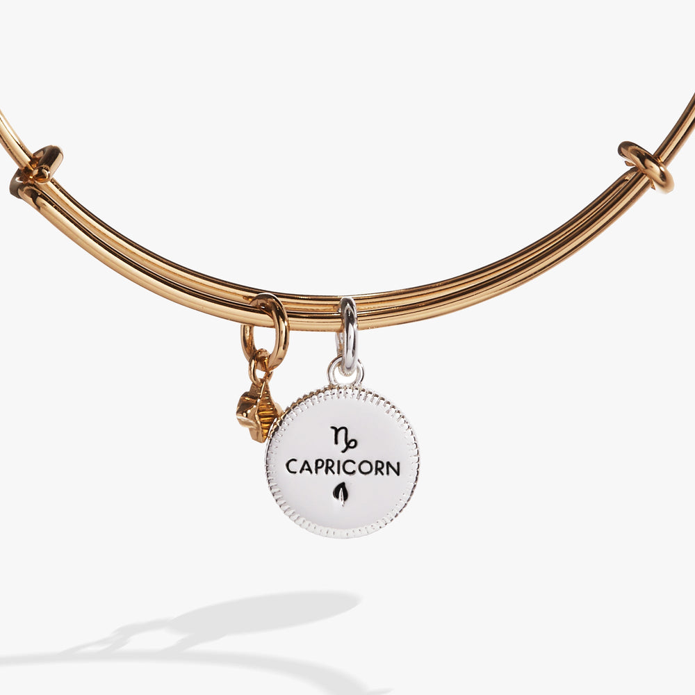 Capricorn Zodiac Charm Bangle, Bracelets, $ 34.00, A Moment Of Now™