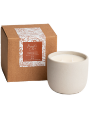 Pumpkin Clove Cement Candle