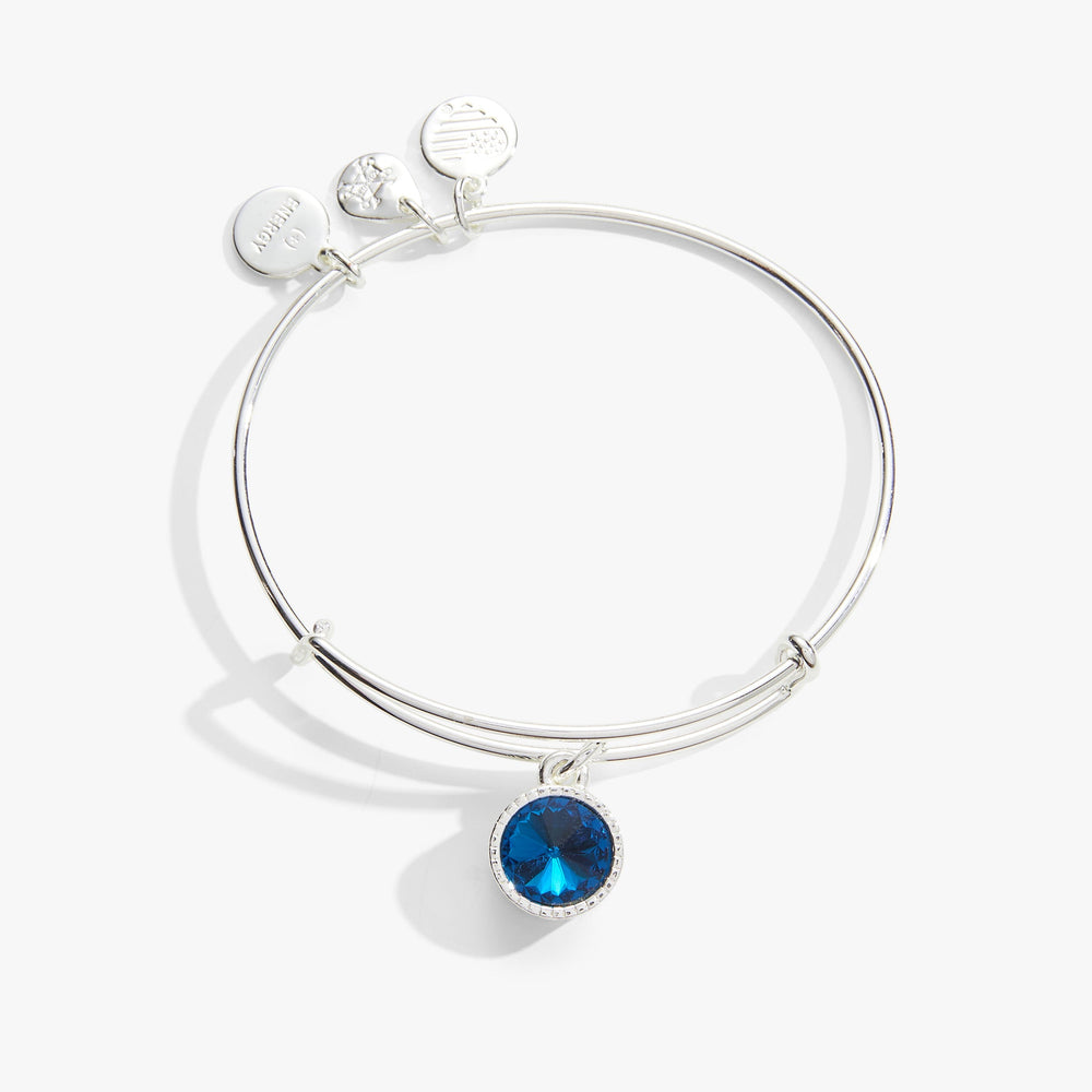 December Birthstone Charm Bangle, Blue Zircon, Bracelets, $ 28.00, A Moment Of Now™