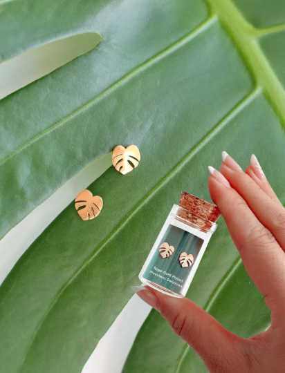 Custom Etched Propagation Stand + 3 Set Houseplant Earring Studs