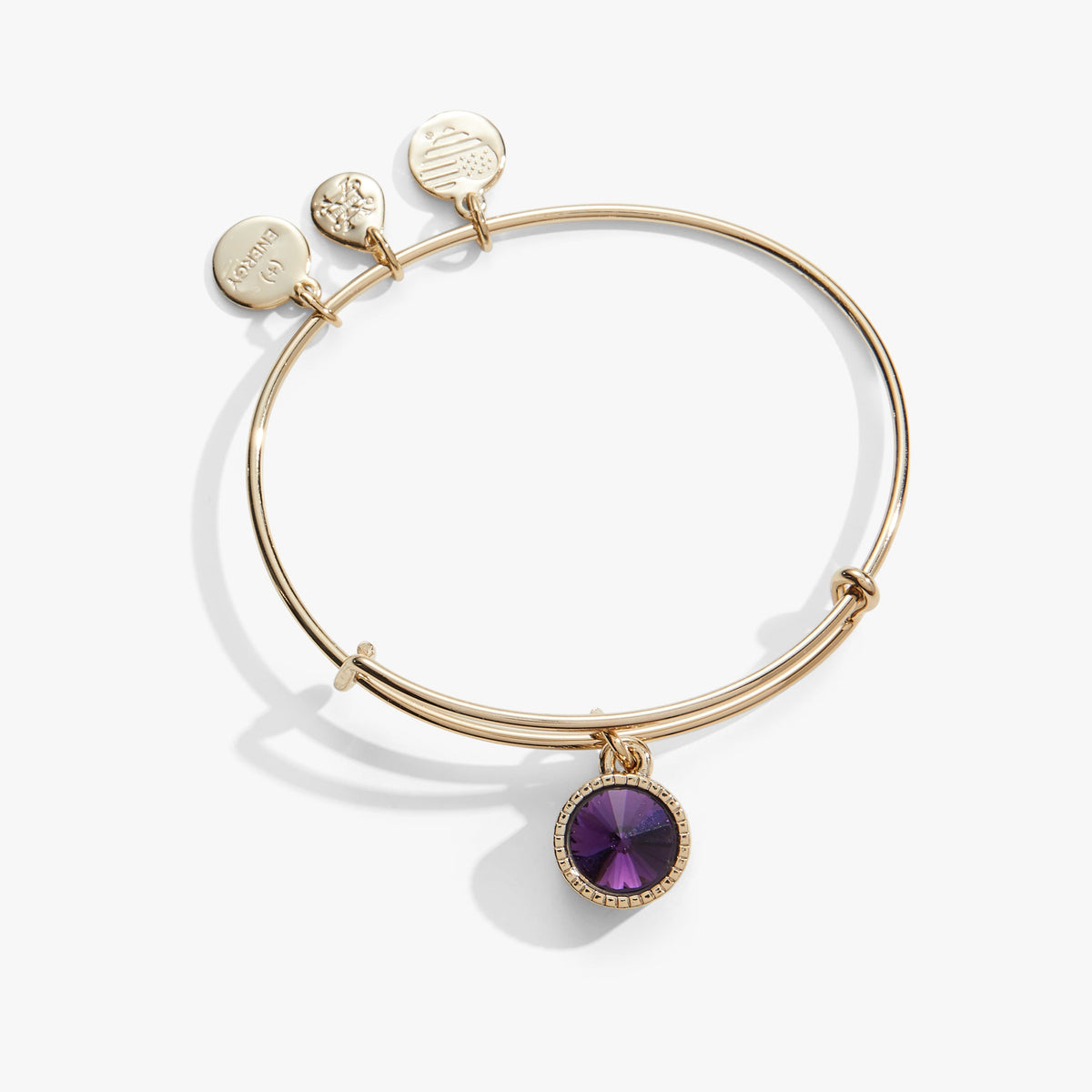 February Birthstone Charm Bangle, Amethyst, Bracelets, $ 28.00, A Moment Of Now™