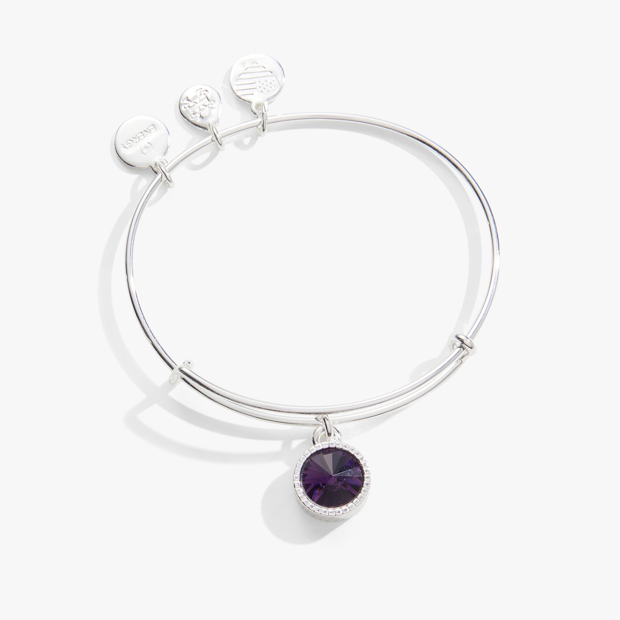 February Birthstone Charm Bangle, Amethyst, Bracelets, $ 28.00, A Moment Of Now™