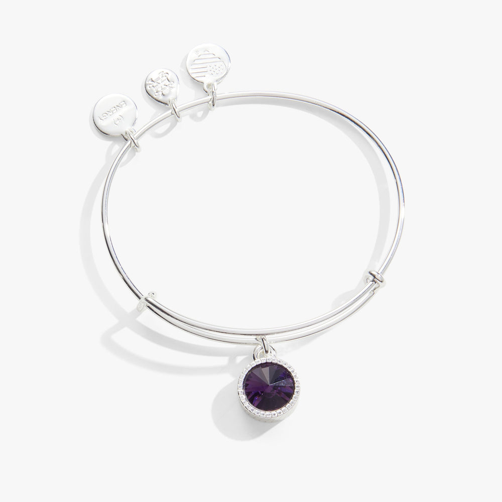 February Birthstone Charm Bangle, Amethyst, Bracelets, $ 28.00, A Moment Of Now™