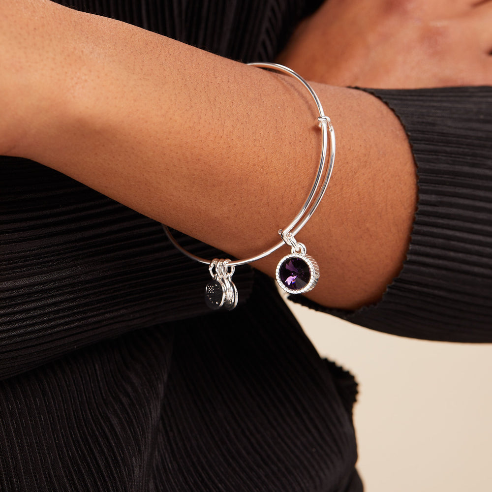 February Birthstone Charm Bangle, Amethyst, Bracelets, $ 28.00, A Moment Of Now™